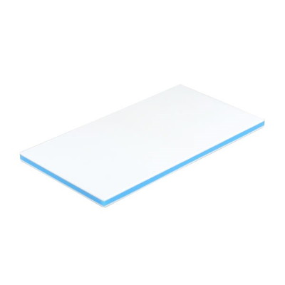 三洋化成 CKB-20SS 抗菌業務用まな板 B(代引不可)【送料無料】