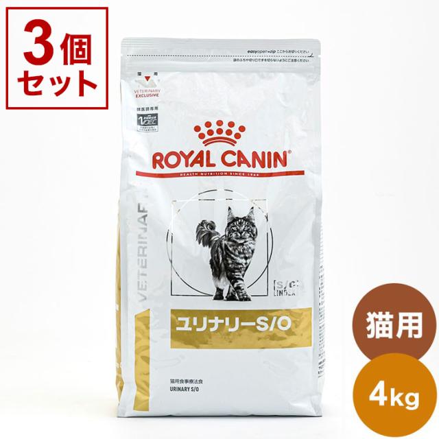 BBMカード 15周年 清原和博選手 焼き付き