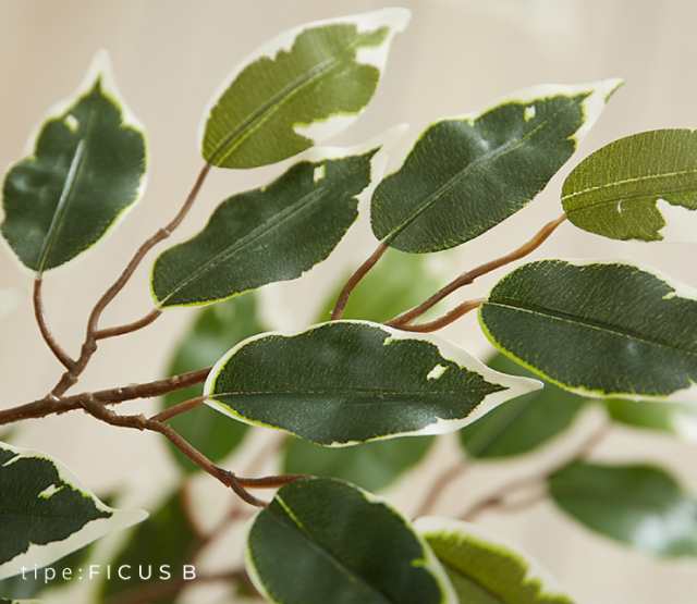 人工観葉植物 フィカス ハイタイプ ゴムの木 フェイクグリーン