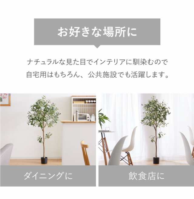 オリーブ 観葉植物 フェイクグリーン 高さ150cm 人工観葉植物 造花