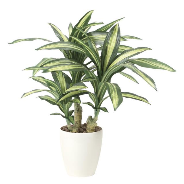 人工観葉植物 カラー ポット付き 高さ55cm （P98-91881) （代引き不可） 人工観葉植物 カラー ポット付き 高さ55cm （P98-91881