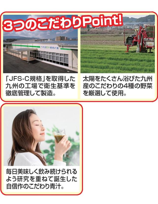 4種の九州産野菜青汁 200包〔代引不可〕(代引不可) 国産 4種の九州産野菜青汁 200包(代引不可)送料無料