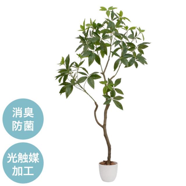 光触媒 インテリア グリーン パキラ 人工観葉植物 フェイクグリーンインテリア 飾り 室内 屋内 オフィス リビング 玄関 大型 造花 おしゃれ 風水 リビング 葉っぱ(代引不可)【送料無料】
