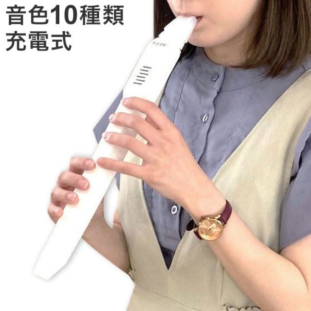 電子リコーダー 充電式 スピーカー内蔵 ヘッドホン接続可能 音量調節12段階 ブレス感度3段階 音色10種類 管楽器 電子音楽(代引不可)【送料無料】