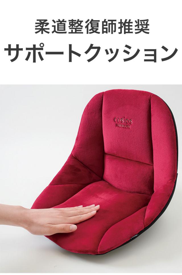 サポートクッション 1個入り 柔道整復師推奨 座椅子 姿勢矯正 疲れ