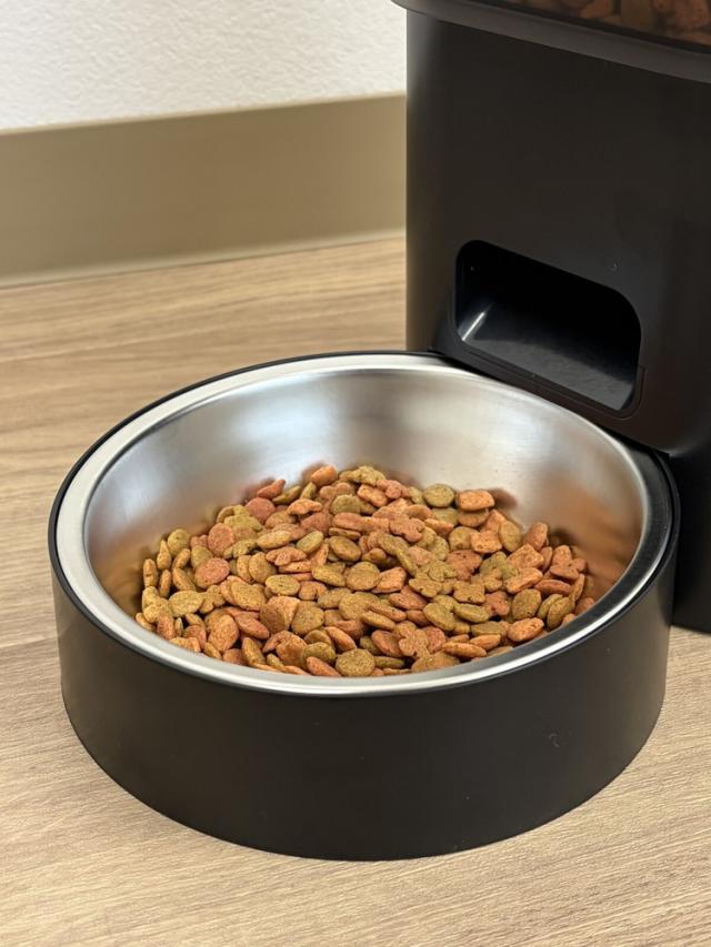 自動えさやり&Wi-Fi給水器2点セット ペット 餌やり スマホ操作 自動 遠隔 リモート 猫 小中型犬 用 1年保証 ペット用品 フード(代引不可)【送料無料】_2
