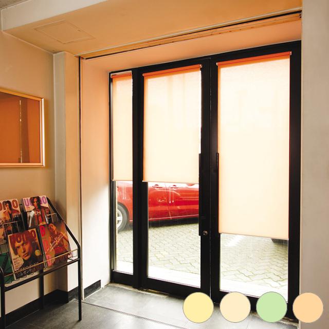 ビス止めタイプ スリムロールスクリーン 60×180cm 防炎 消臭 防汚 抗菌(代引不可)【送料無料】の通販は