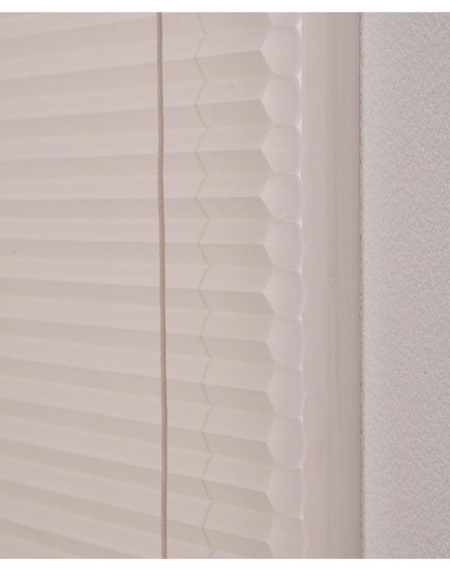 ハニカムプリーツブラインド 60×135cm シェード ブラインド ロール