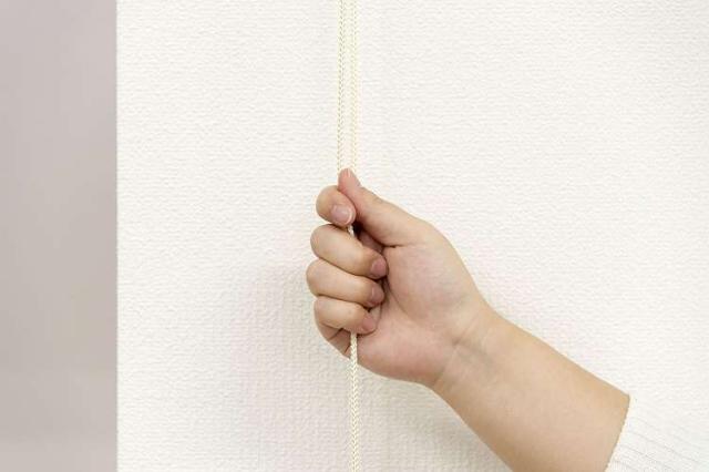 ロールスクリーン カバー付き 遮光 幅90cm×高さ220cm シンプル おしゃれ 北欧 オフィス マンション 間仕切り ロールカーテン(代引不可)【送料無料】の通販は