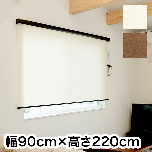 ロールスクリーン 取りまかなう付き添い人 生まれながら調 幅90cm×高さ220糎 分かりやすい 格好のいい 北欧 事務所 アパルトマン 中仕切り ロールカーテン(代引不可)【貨物輸送無料】