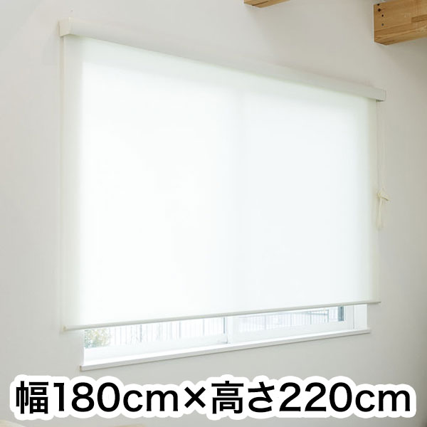 ロールスクリーン カバー付き 防炎 無地 幅180cm×高さ220cm シンプル おしゃれ 北欧 オフィス マンション 法人 間仕切り ロールカーテン(代引不可)【送料無料】