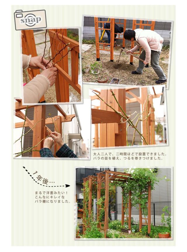 天然木製フレックスパーゴラアーチ190 3台組 バーゴラ 藤棚 ガーデン おしゃれ ガーデニング トンネル(代引不可)【送料無料】_5