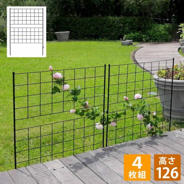 アイアンフェンス 高さ126「グラフ」4枚組 IF-GR022-4P フェンス アイアン ガーデンフェンス ガーデニング 枠 柵 仕切り 目隠し 境目 クラシカル アンティーク 格子(代引不可)【送料無料】の通販は