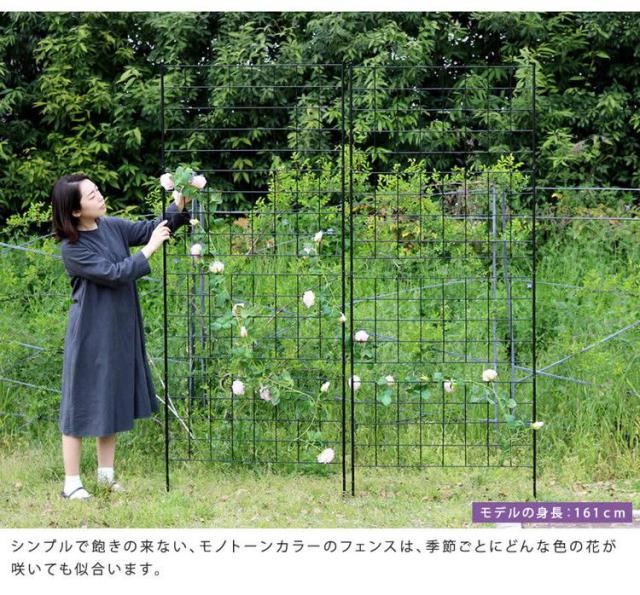 アイアンフェンス 高さ226 「グラフ」 2枚組 IF-GR024-2P フェンス アイアン ガーデンフェンス ガーデニング 枠 柵 仕切り 目隠し 境目 クラシカル アンティーク 格子(代引不可)【送料無料】_5
