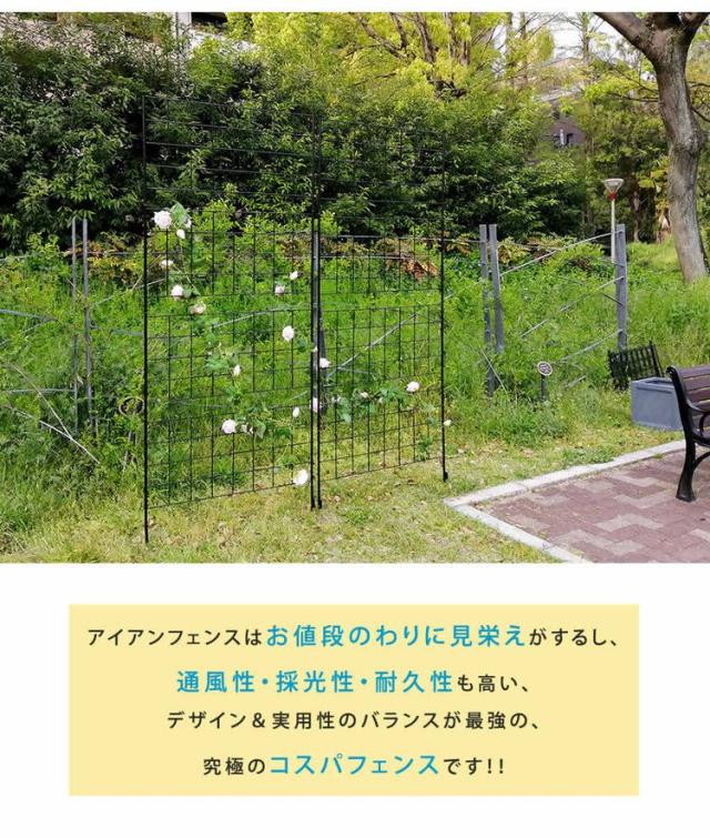 アイアンフェンス 高さ226 「グラフ」 2枚組 IF-GR024-2P フェンス アイアン ガーデンフェンス ガーデニング 枠 柵 仕切り 目隠し 境目 クラシカル アンティーク 格子(代引不可)【送料無料】_6