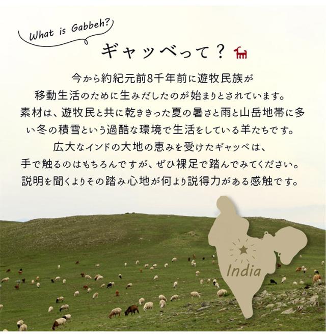 ギャベ ギャッベ 玄関マット 70×120cm インド製 手織りギャッベ ウール100% 防炎ラベル付き おしゃれ ラグ ラグマット カーペット(代引不可)【送料無料】_5