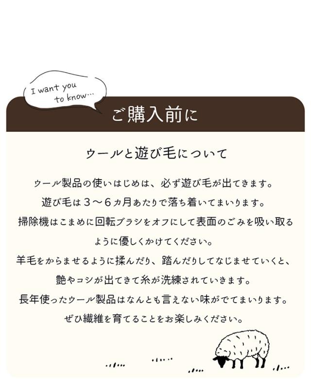 ギャベ ギャッベ 玄関マット 70×120cm インド製 手織りギャッベ ウール100% 防炎ラベル付き おしゃれ ラグ ラグマット カーペット(代引不可)【送料無料】_3
