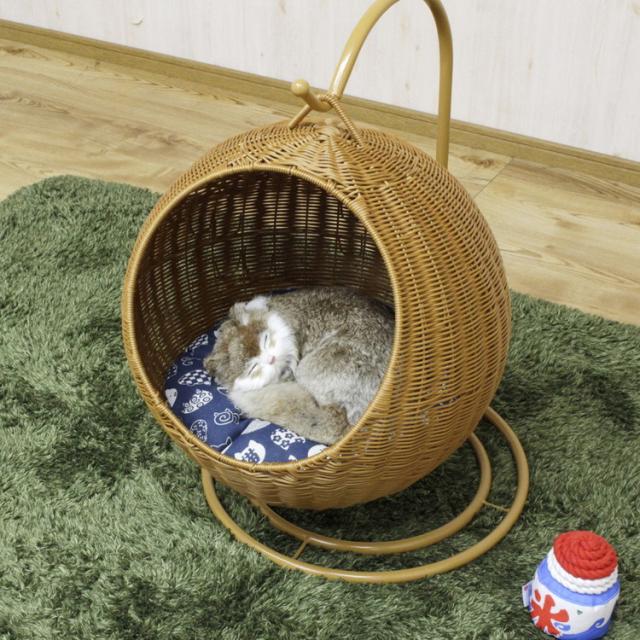 ペット用 猫 犬 ラタン調 ハンギングチェアー ペットベッド クッション付き ペット用ハンモック キャットハウス PEEラタン ペット 家具 ペット用家具 おしゃれ(代引不可)【送料無料】_2