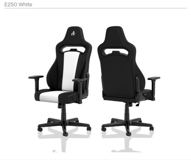 アーキサイト ゲーミングチェア Nitro Concepts E250 ロッキング アームレスト eスポーツ デスクチェア リクライニング NC-E250(代引不可_6