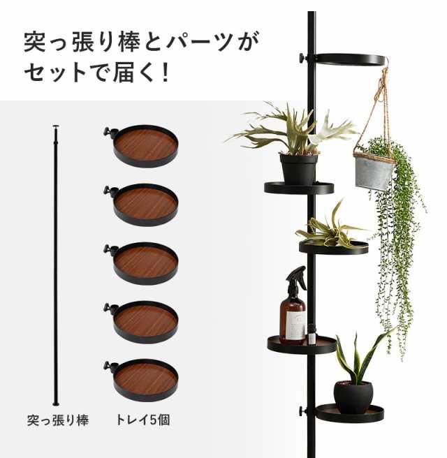 突っ張り棚 縦型 6点セット 円形トレイ5個 突っ張り棒 おしゃれ ポール