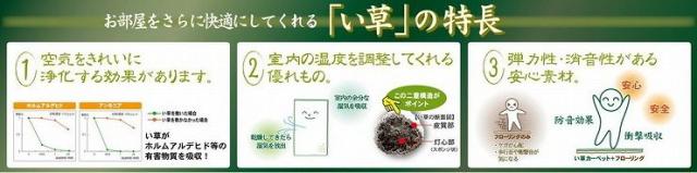 国産い草センターラグ(裏貼り) 吉兆(きっちょう) 約191×250cm NA(代引不可)【送料無料】の通販は