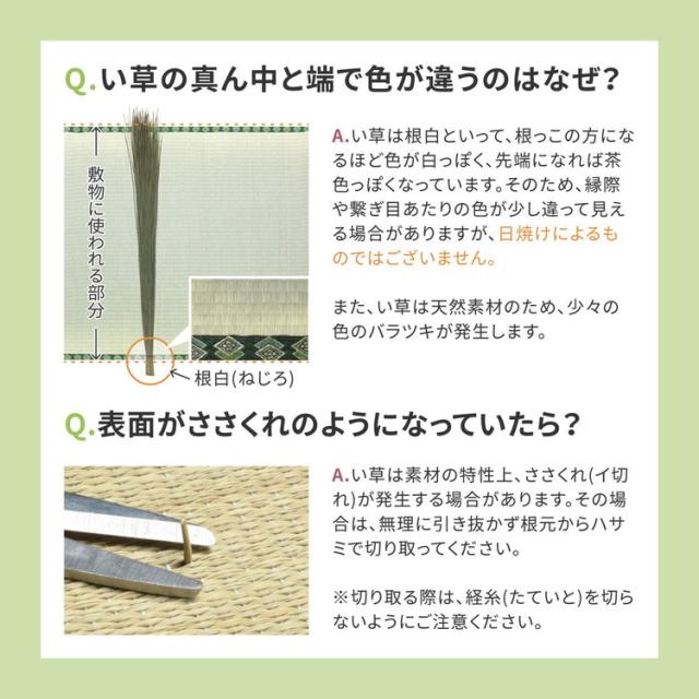 フリーカット 裏付き い草上敷き い草カーペット 255×255cm 団地間4.5畳 敷き詰めタイプ 上敷き 畳 カーペット みすず(代引不可)【送料無料】 カーペット