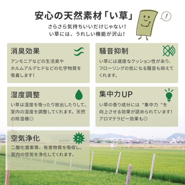 フリーカット 裏付き い草上敷き い草カーペット 255×255cm 団地間4.5畳 敷き詰めタイプ 上敷き 畳 カーペット みすず(代引不可)【送料無料】 カーペット