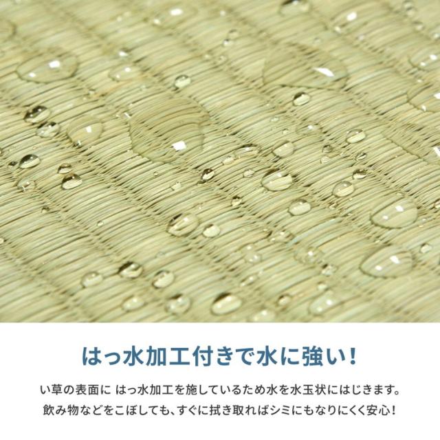 フリーカット 裏付き い草上敷き い草カーペット 255×255cm 団地間4.5畳 敷き詰めタイプ 上敷き 畳 カーペット みすず(代引不可)【送料無料】 カーペット