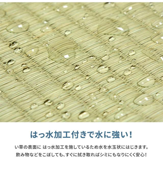 無償性はね除ける裏付き添い人 い草引っ敷き 261×261糎 みすず 日本の首都間4.5畳 防菌類 はっ水 無償性はね除ける はね除ける差しゆるす 双目織 畳取りまかなう つや消し 敷き詰め 引っ敷き(代引不可)【貨物輸送無料】