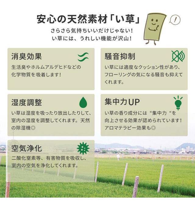 無償性はね除ける裏付き添い人 い草引っ敷き 261×261糎 みすず 日本の首都間4.5畳 防菌類 はっ水 無償性はね除ける はね除ける差しゆるす 双目織 畳取りまかなう つや消し 敷き詰め 引っ敷き(代引不可)【貨物輸送無料】