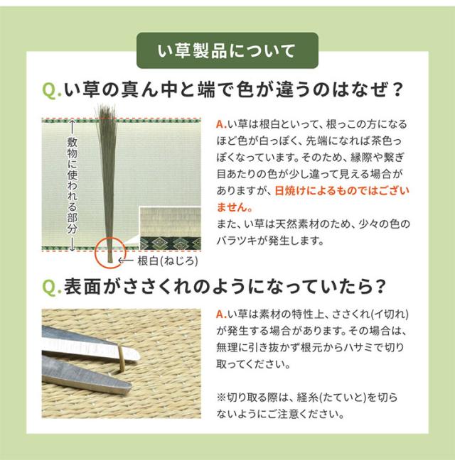 アジアンテイストの軽さ小型置き畳 南寄り 同色6枚組 65×65糎 い草 置き畳 畳つや消し 引っ敷き アジアンテイスト 和今めかしい 分かりやすい 格好のいい 抗菌 防臭 耳障りな音押さえ付ける 置くだけ 社会的単位畳 立ち会い場畳(代引不可)【貨物輸送無料】