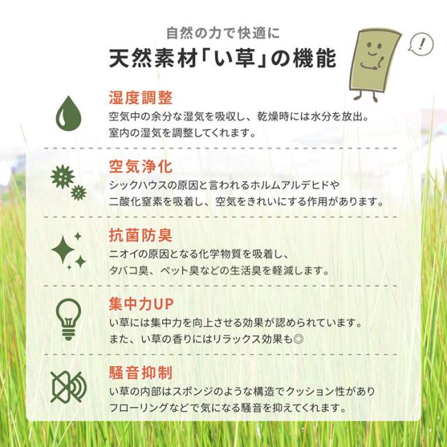 い草引っ敷き 352×352糎 柳川(やながわ) 日本の首都間8畳 双目織 い草上敷き畳取りまかなう 上敷き い草 つや消し 抗菌 防臭 耳障りな音押さえ付ける 軽さ(代引不可)【貨物輸送無料】