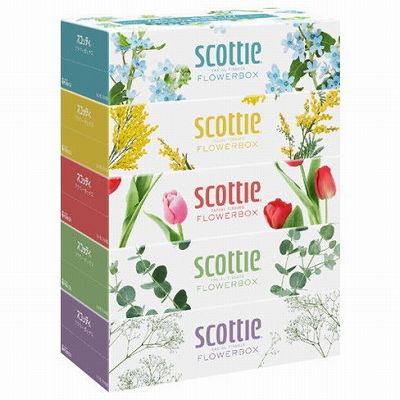 【単品】 SCTティシューフラワーボックス250組5箱パック(代引不可)