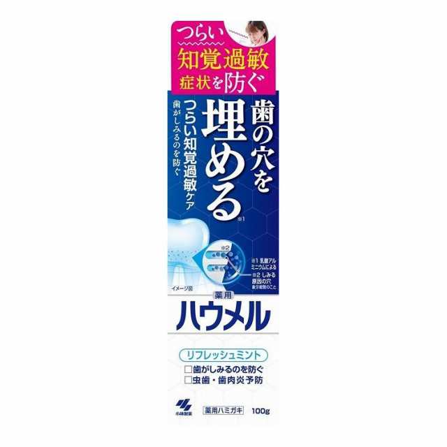 【単品9個セット】 小林製薬 ハウメル 100G 歯磨き(代引不可)【送料無料】の通販は 5,436円