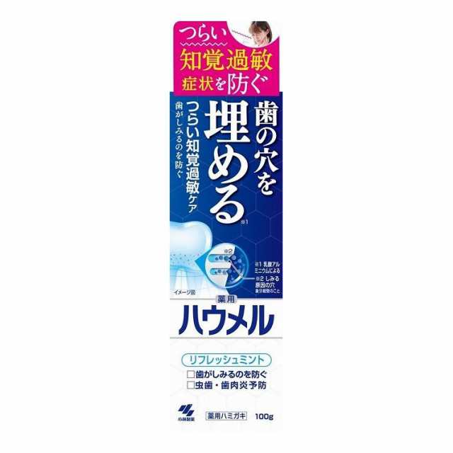 【単品12個セット】 小林製薬 ハウメル 100G 歯磨き(代引不可)【送料無料】