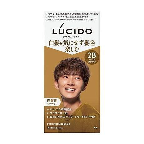 【単品20個セット】 ルシード デザインヘアカラー モダンブラウン (医薬部外品) マンダム(代引不可)【送料無料】