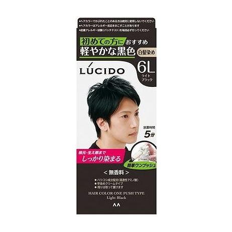【単品9個仕かける】 ルシード ワンプッシュケアカラー ともし火黒いこと (飲み薬部外品) マンダム(代引不可)【貨物輸送無料】