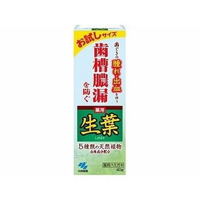 【単品20個セット】 生葉 お試しサイズ 40g(代引不可)【送料無料】