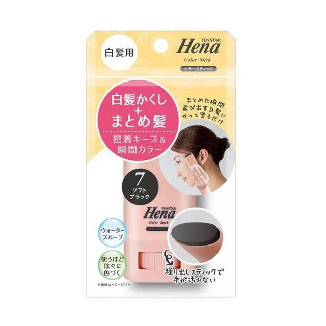 【単品13個セット】 テンスター 白髪用カラースティック SBK 三宝(代引不可)【送料無料】