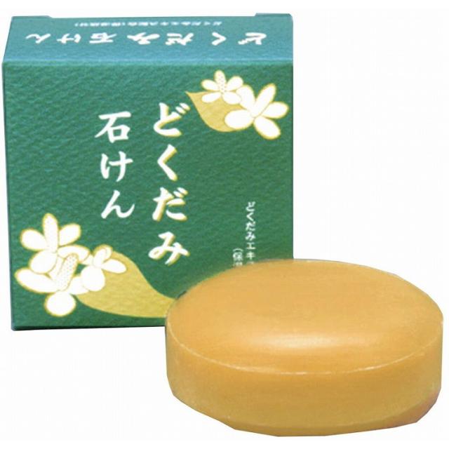 【単品16個セット】 和の美肌 どくだみ石けん 100g (株)地の塩社(代引不可)【送料無料】