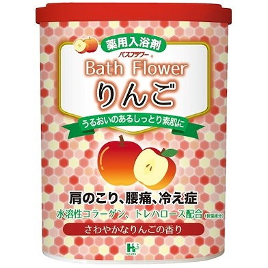 【単品16個仕かける】 2階建てバスお花 林檎 680g (株)健全さ(代引不可)【貨物輸送無料】