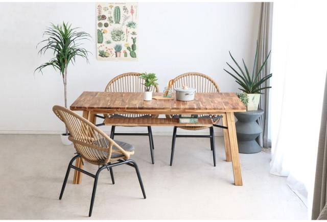 オーバルチェア リゾートチェア クッション付き ガーデンチェア