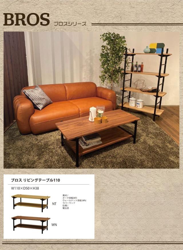 ローテーブル リビング テーブル ブロス リビングテーブル 収納 収納棚付き モダン おしゃれ かわいい(代引不可)【送料無料】_1
