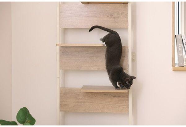 アイリスオーヤマ キャットステップ CATS-68 ライトナチュラル メーカー直送 : アイリスオーヤマ キャットステップ 覗ける透明板