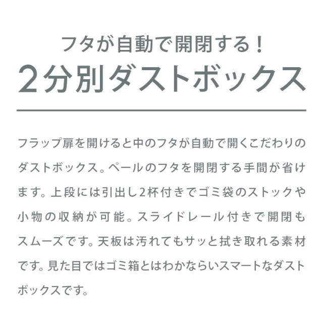 ゴミ箱 隠す収納 キッチンカウンター 2分別 蓋が自動開閉 スライドレール付き完成品 日本製 ペールワゴン ペールストッカー ダストボックス レンジ台 レンジラック(代引不可)【送料無料】_1