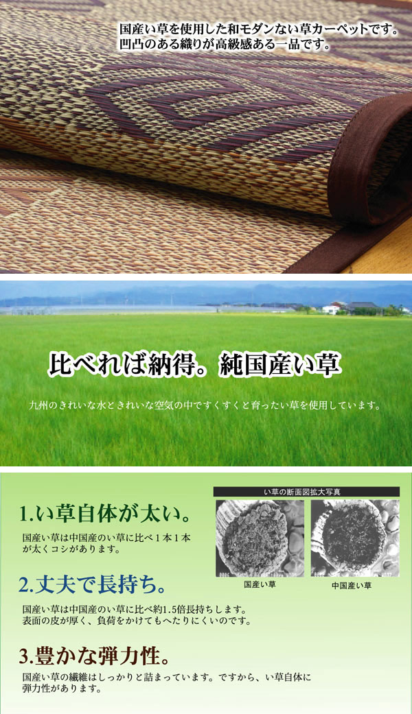 純国産 い草花ござカーペット 『五風』 ブラウン 江戸間10畳（約435×352cm）【送料無料】【代引き不可】 P30May15_1