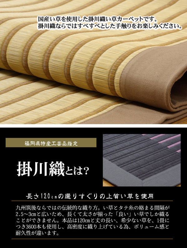 純国産 掛川織 い草ラグカーペット 『剣ヶ峰』 ブラック 約200×200cm【送料無料】【代引き不可】_1