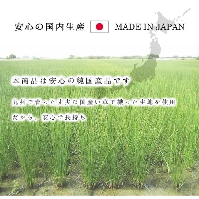 ラグ 純国産 国産 日本製 い草 抗菌防臭 自然素材 モダン 『DXカラフルブロック』 ブルー 約191×191cm カラフルブロック(代引不可)【送料無料】_7