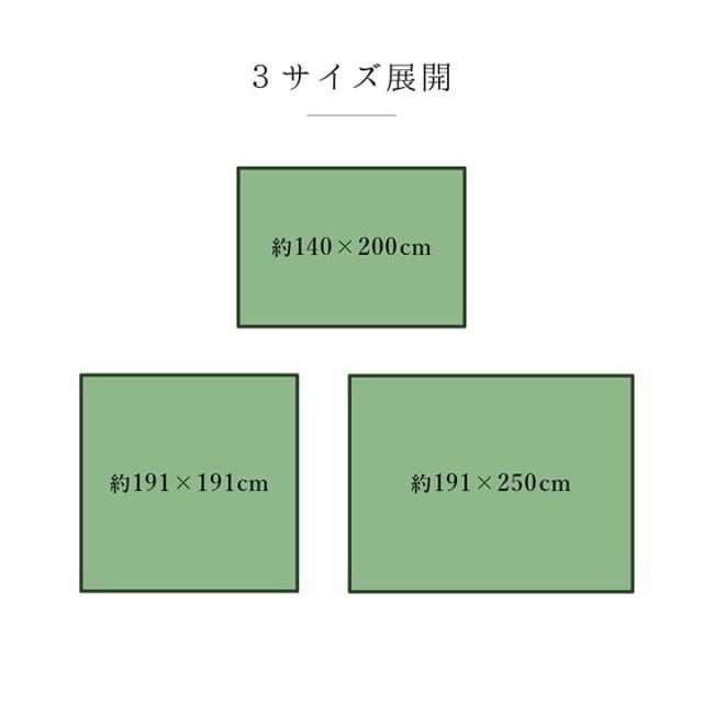 ラグ 純国産 国産 日本製 い草 抗菌防臭 自然素材 モダン 『DXカラフルブロック』 ブルー 約191×250cm カラフルブロック(代引不可)【送料無料】_12