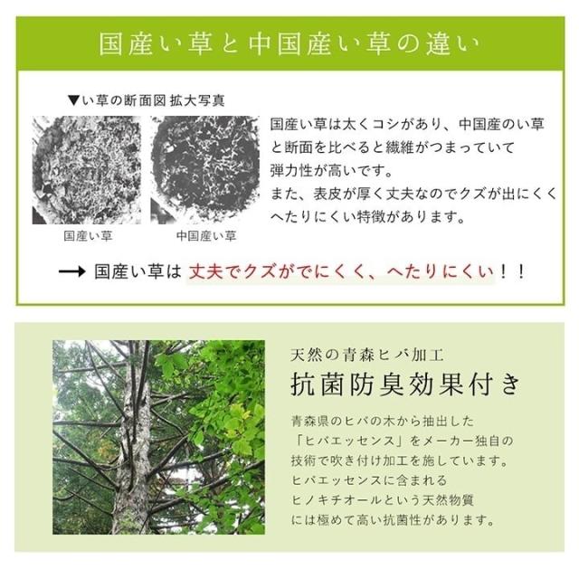 ラグ 純国産 国産 日本製 い草 抗菌防臭 自然素材 モダン 『DXカラフルブロック』 ブルー 約191×250cm カラフルブロック(代引不可)【送料無料】_8